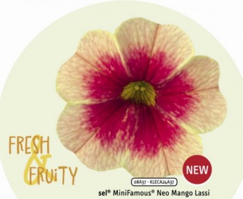 ���������� Fresh&Fruity Mango Lassi